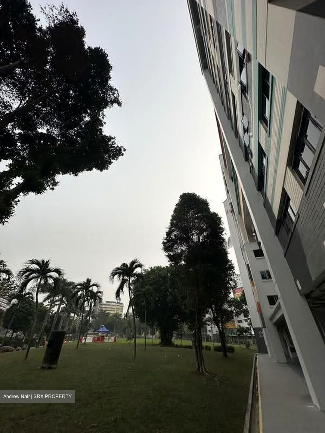 Tampines Street 42 (Tampines), Multi Generation #633661971